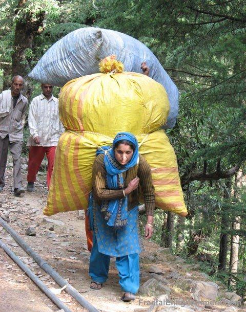 Lots of bags Tips for Shopping at Your Local Market