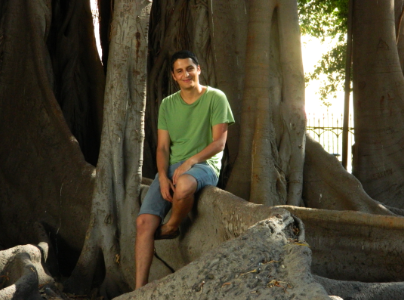 Moreton Bay fig Road trip in Sicily